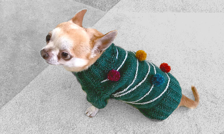 Tricoter un pull de Noël pour chien